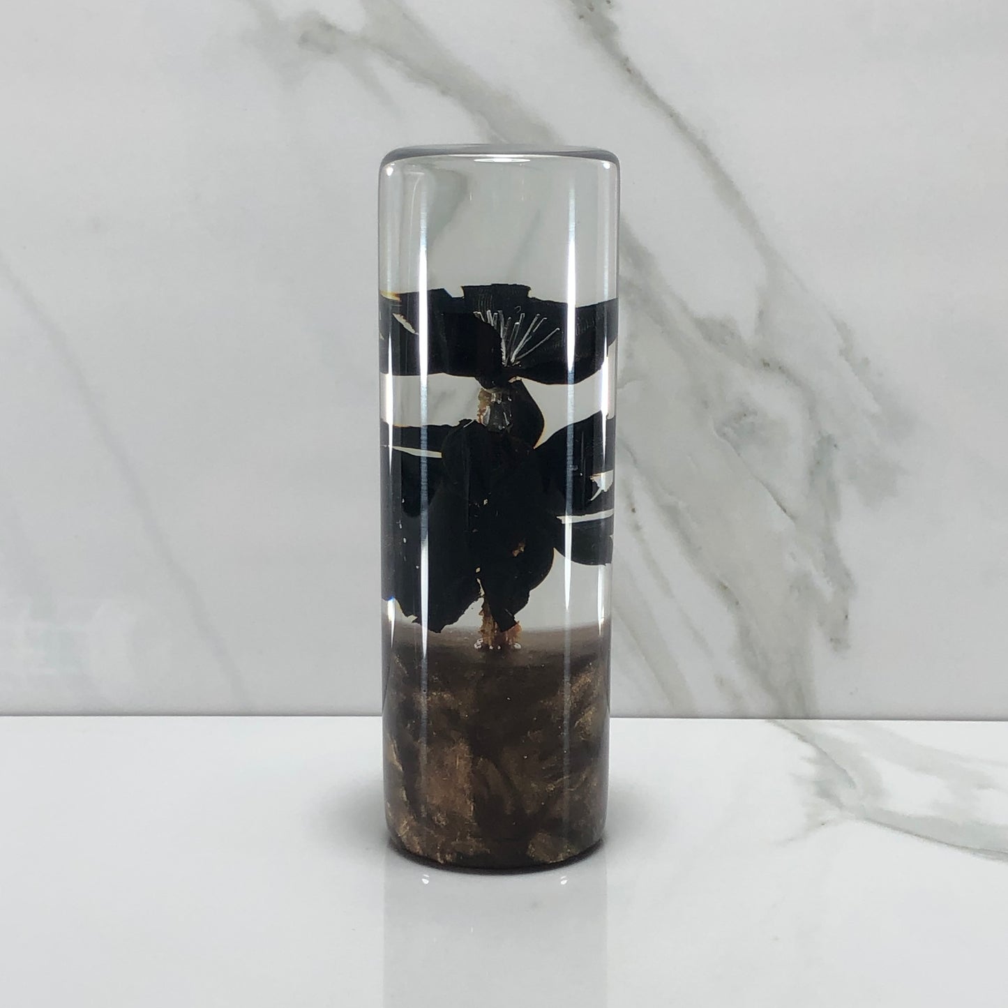 Mr__Grip 4 1/2 Inch Resin Custom Shift Knob black Cherry Blossom JDM