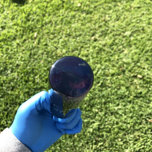 95mm Black Rose