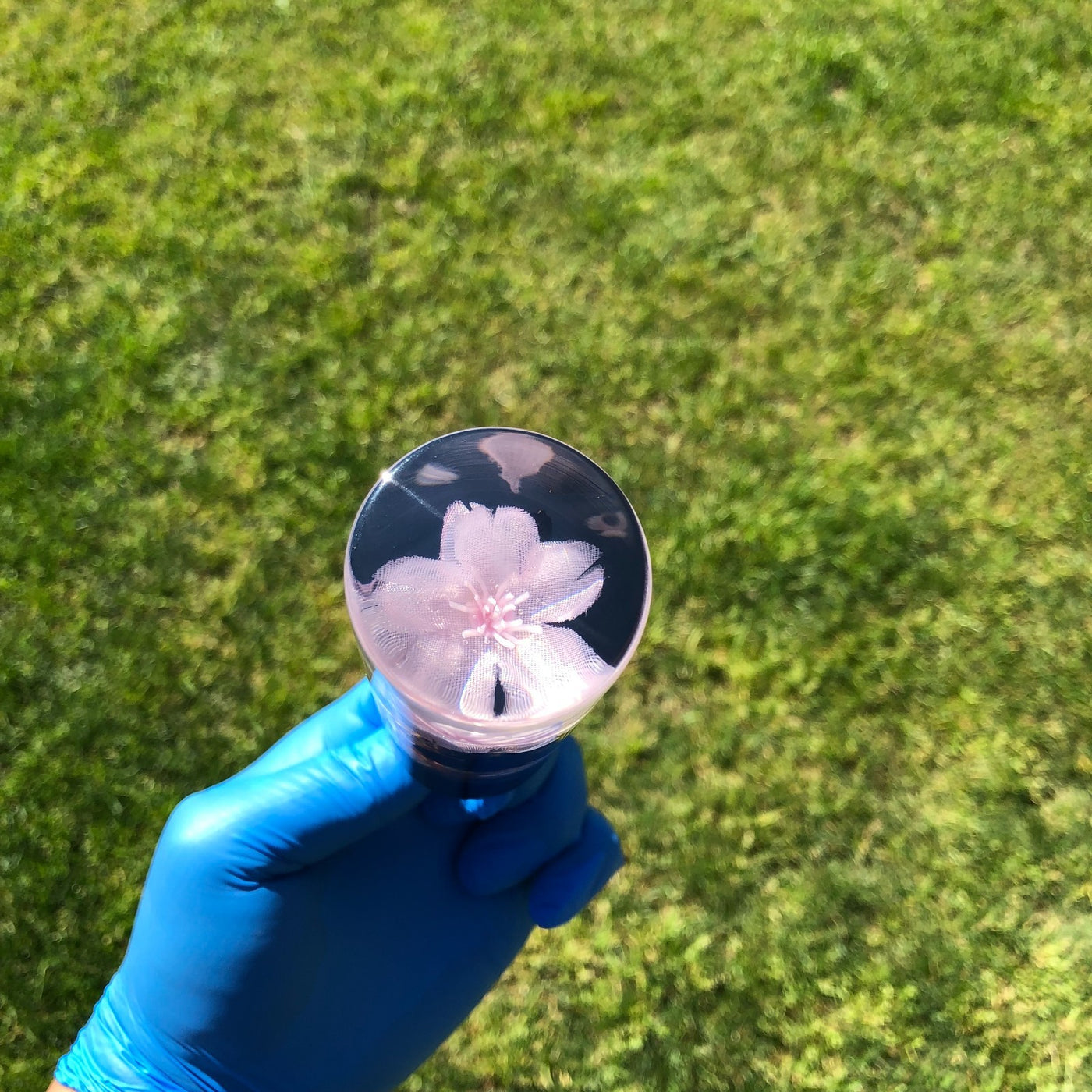 115mm Black Pink Blossom