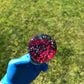 140mm Red Rose · 617