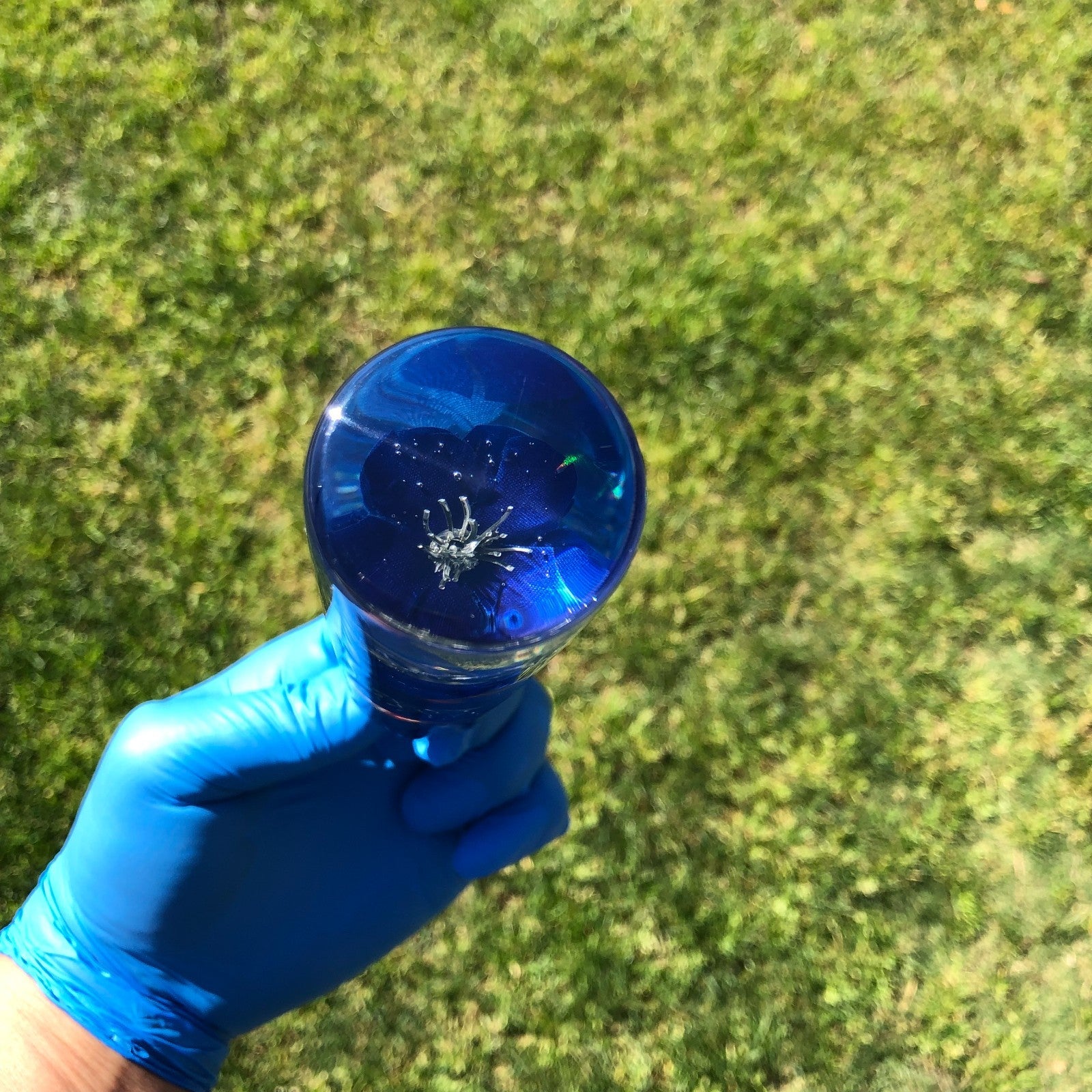 140mm Blue Blossom