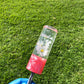 115mm Pink Daisy