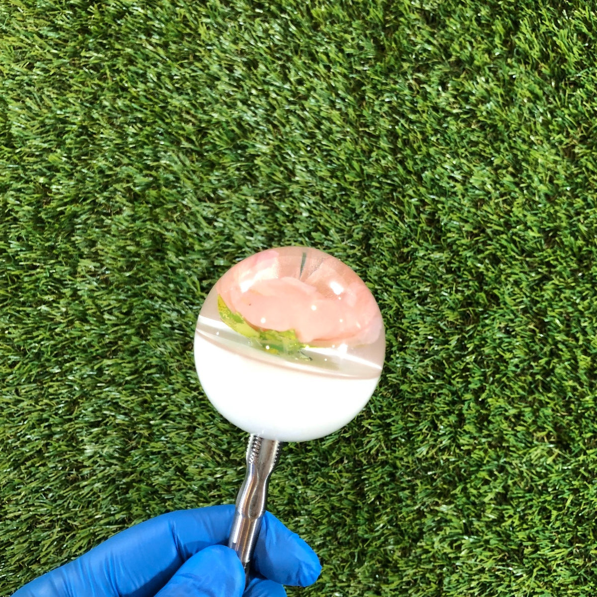 60mm Ivory Pink Rose Resin Shift Knob — 2.4 in, 12mm x 1.25