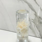 Mr__Grip 4 1/2 Inch Resin  Custom Shift Knob White Cherry Blossom JDM